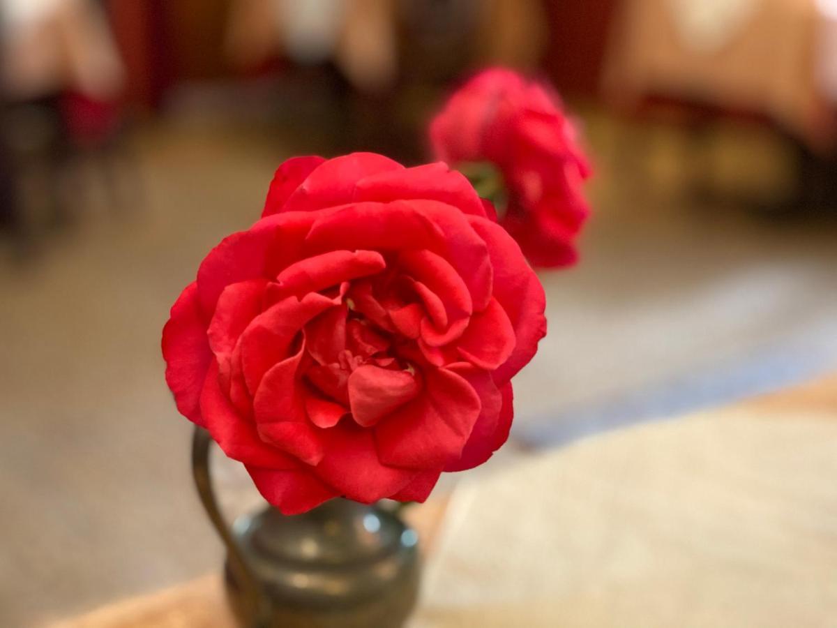 Kreuzerhof Hotel Garni Rothenburg ob der Tauber Zewnętrze zdjęcie